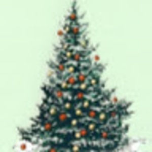 Meet your Posher, To	ny